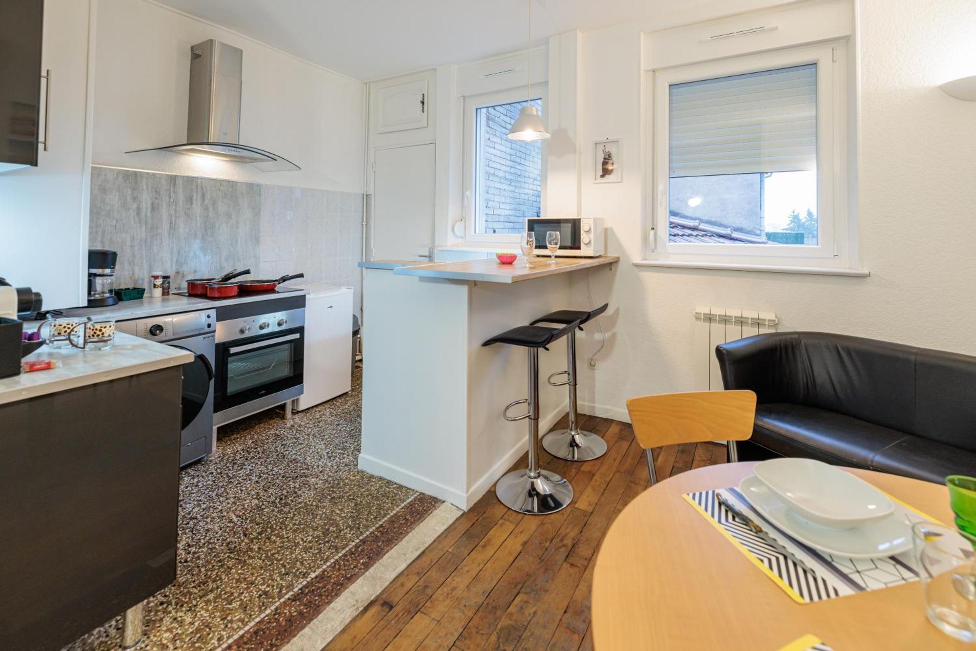 Residence Leclerc - Appartements D'Hotes - Secteur Thermal ナンシー エクステリア 写真