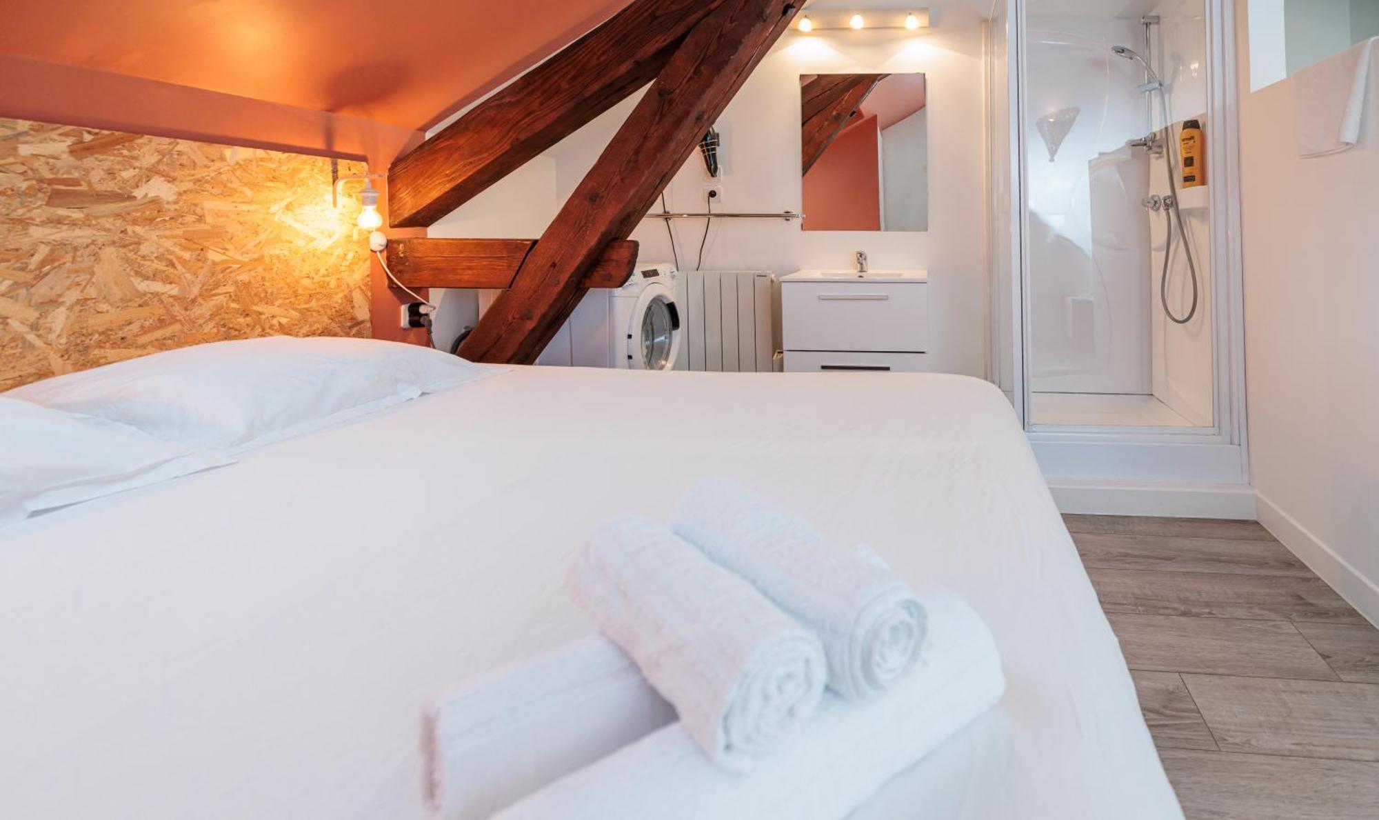 Residence Leclerc - Appartements D'Hotes - Secteur Thermal ナンシー エクステリア 写真