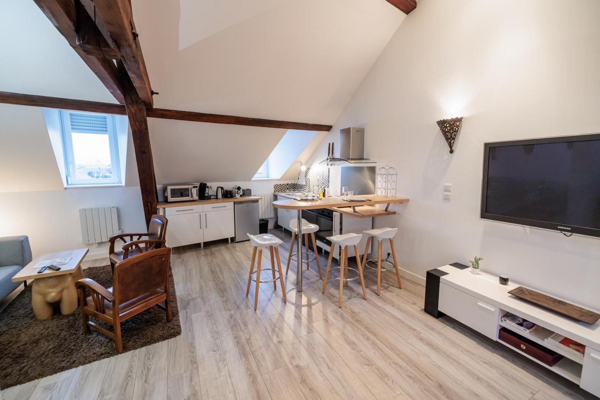 Residence Leclerc - Appartements D'Hotes - Secteur Thermal ナンシー エクステリア 写真