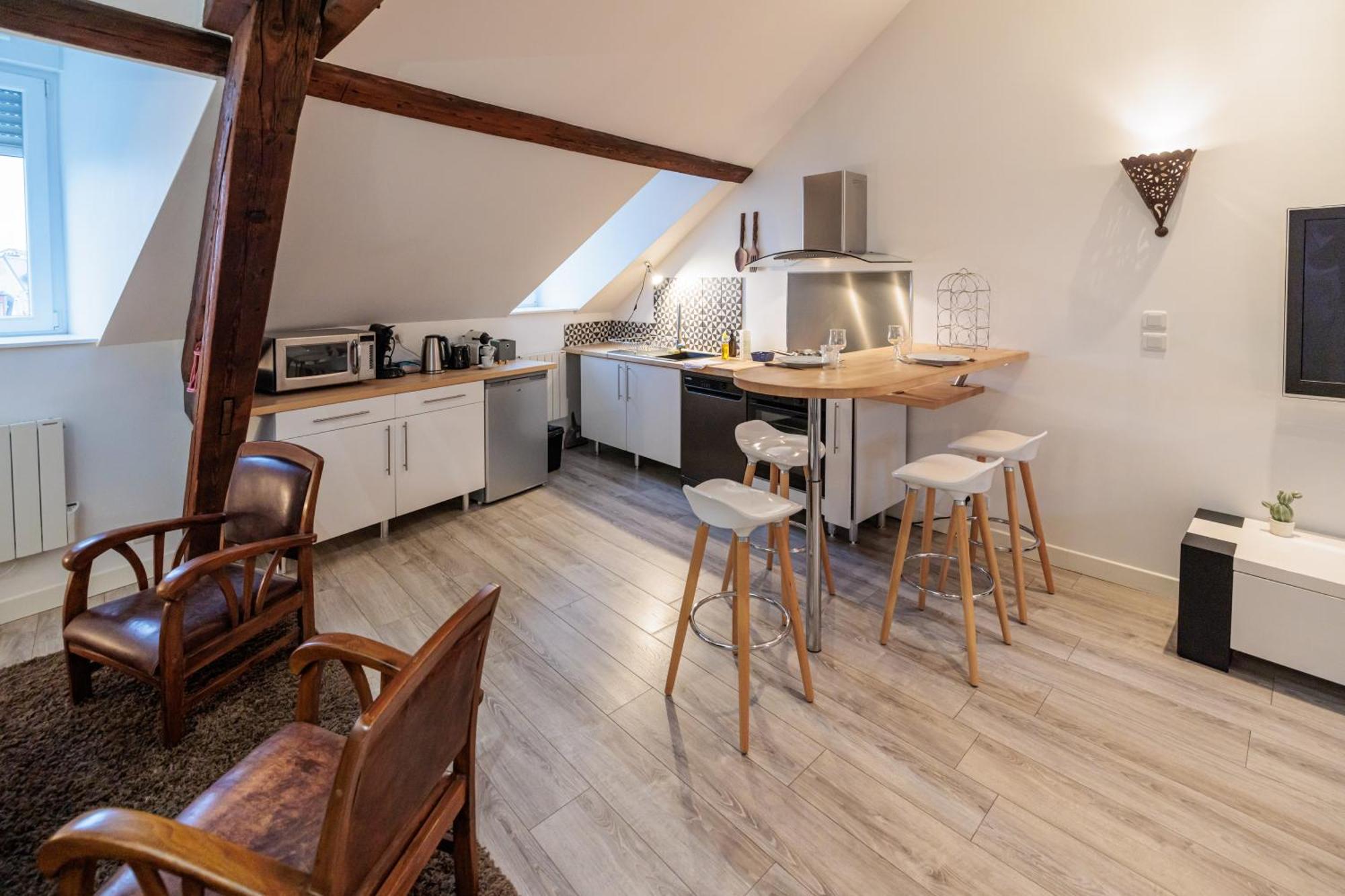 Residence Leclerc - Appartements D'Hotes - Secteur Thermal ナンシー エクステリア 写真