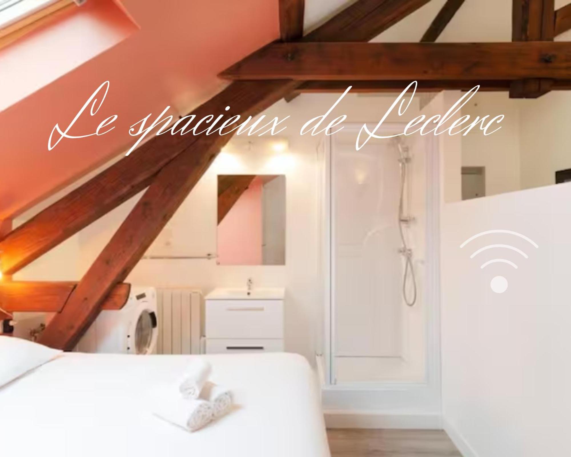 Residence Leclerc - Appartements D'Hotes - Secteur Thermal ナンシー 部屋 写真