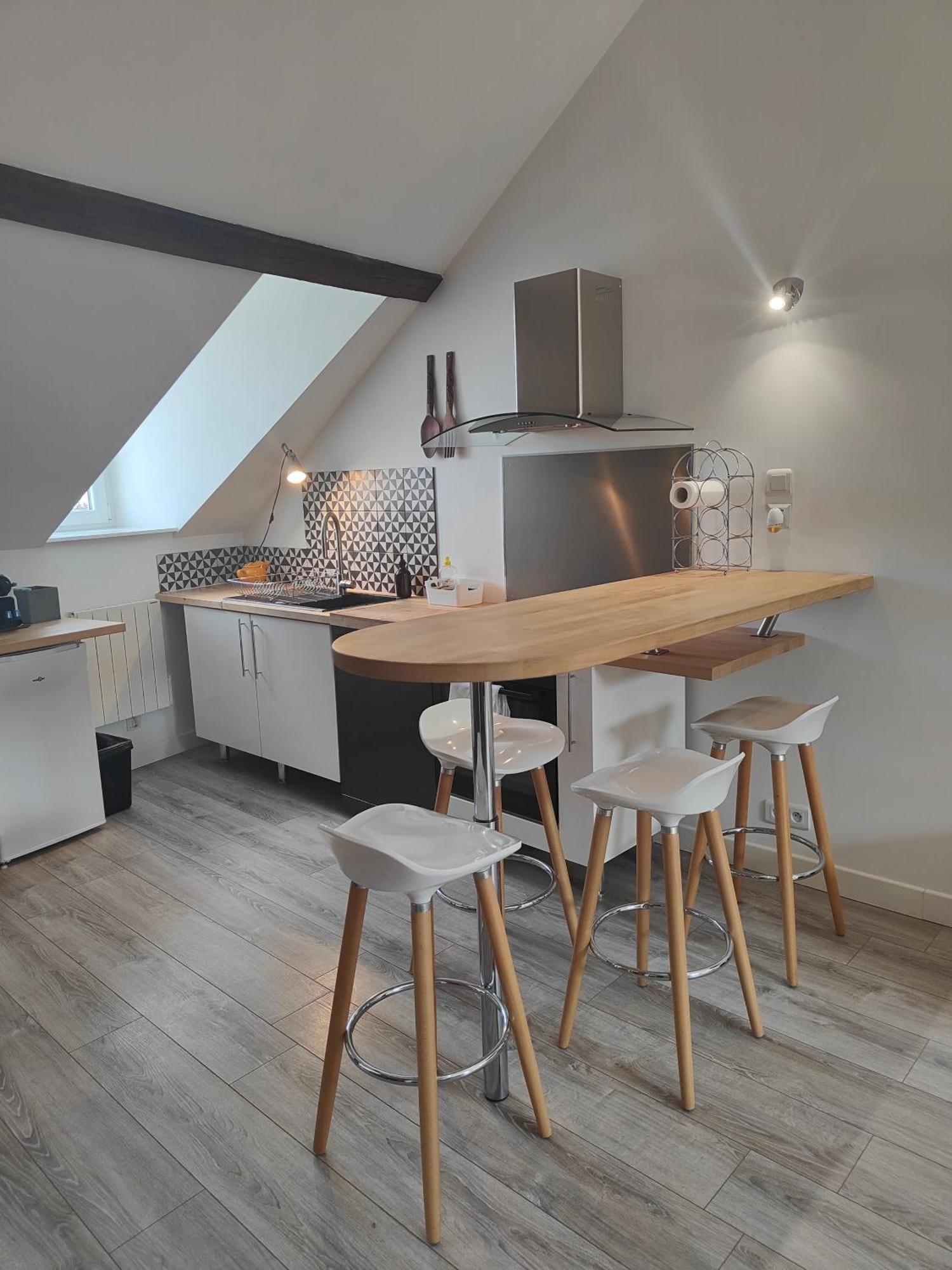 Residence Leclerc - Appartements D'Hotes - Secteur Thermal ナンシー エクステリア 写真