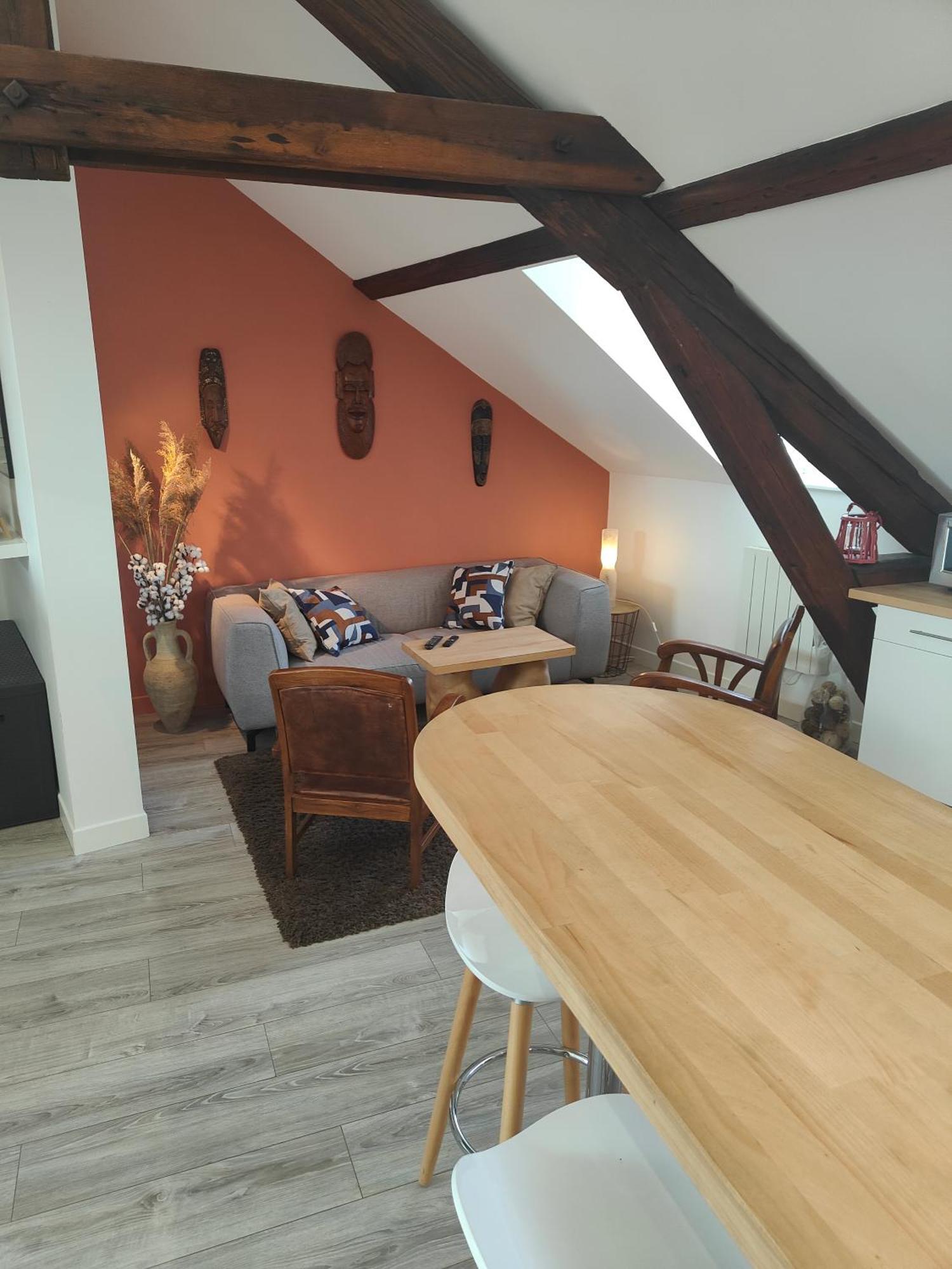 Residence Leclerc - Appartements D'Hotes - Secteur Thermal ナンシー エクステリア 写真