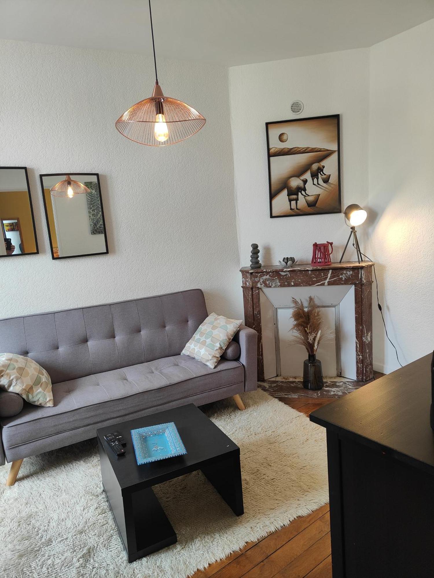 Residence Leclerc - Appartements D'Hotes - Secteur Thermal ナンシー エクステリア 写真