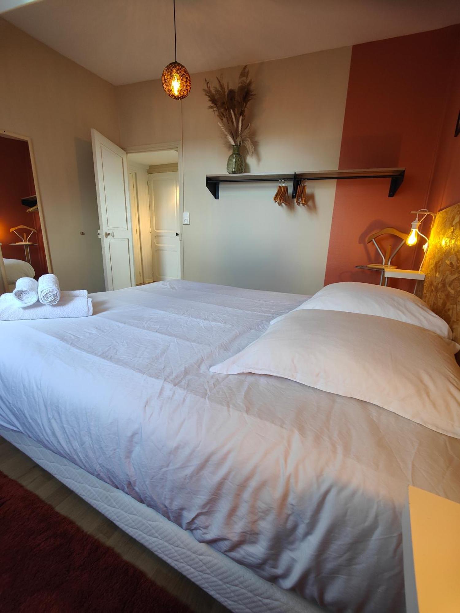 Residence Leclerc - Appartements D'Hotes - Secteur Thermal ナンシー エクステリア 写真